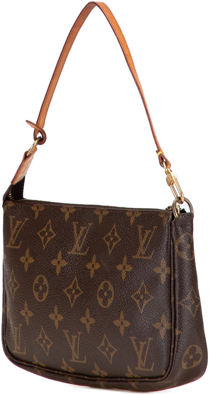 Louis Vuitton Monogram Pochette Accessoires Bruin