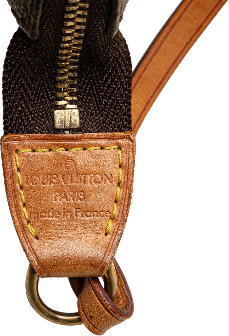 Louis Vuitton Monogram Pochette Accessoires Bruin