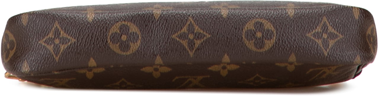 Louis Vuitton Monogram Pochette Accessoires Bruin