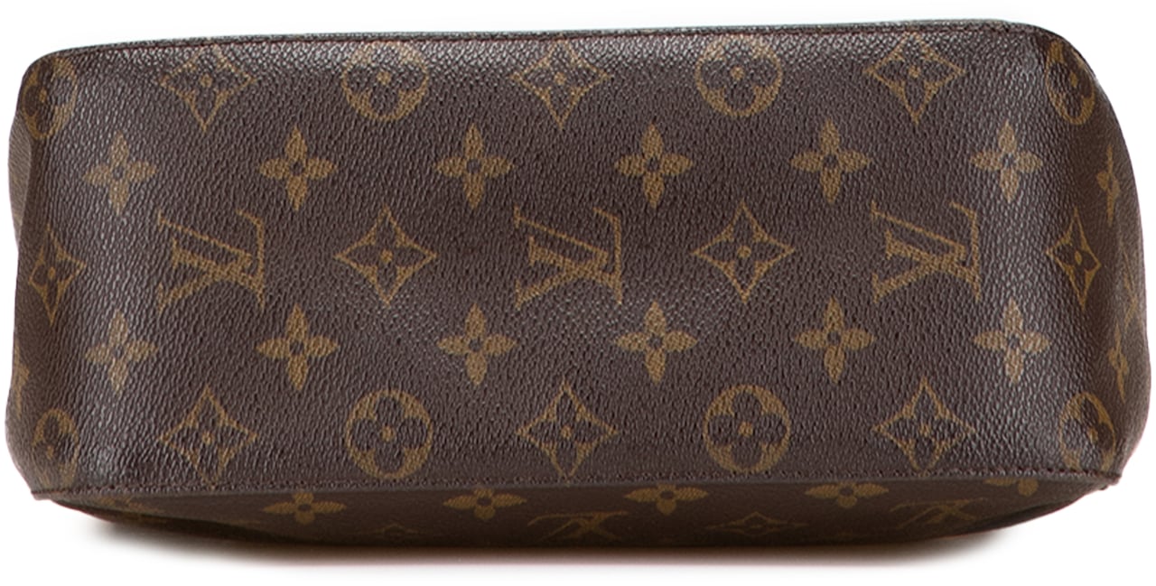 Louis Vuitton Monogram Looping MM Bruin