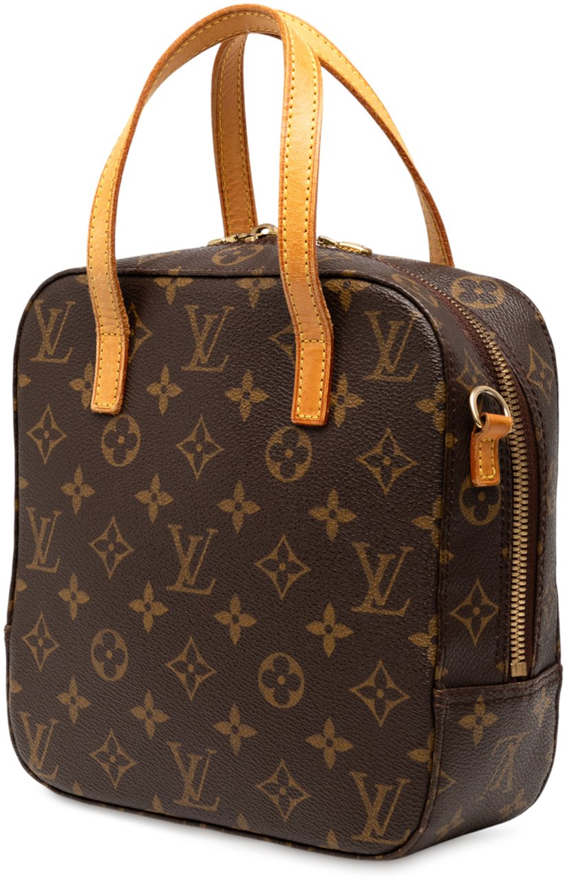 Louis Vuitton Monogram Spontini Bruin