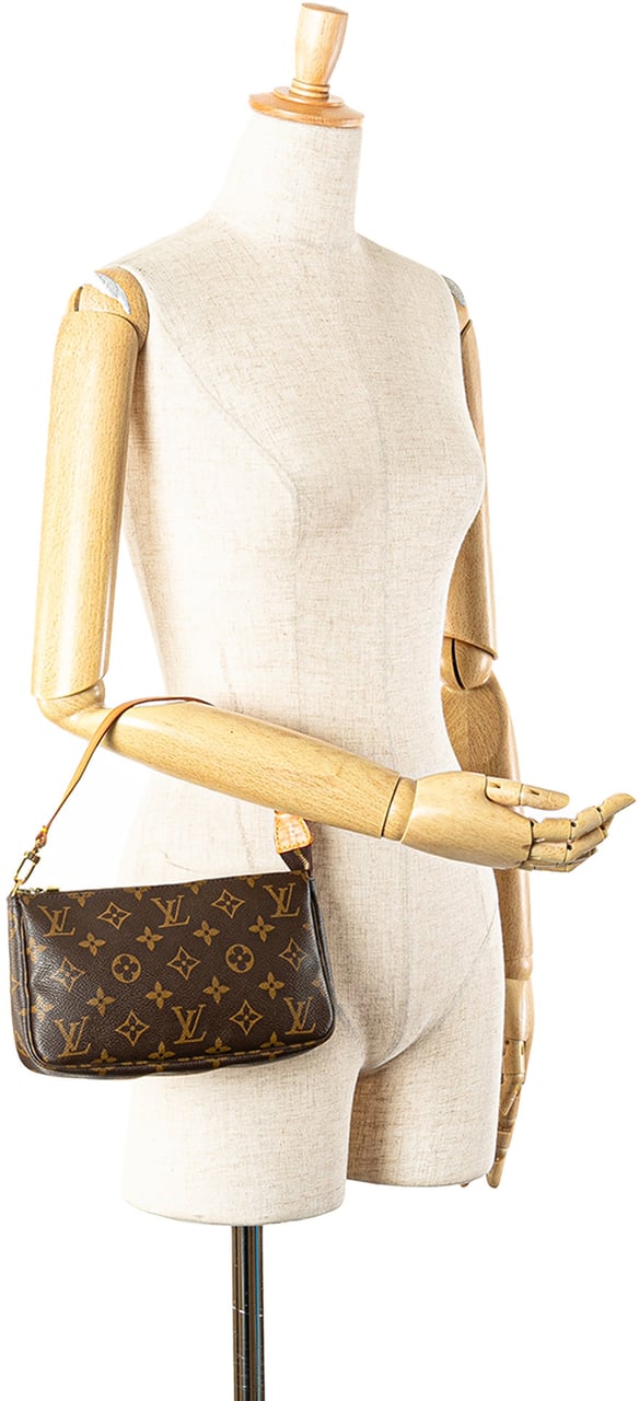 Louis Vuitton Monogram Pochette Accessoires Bruin