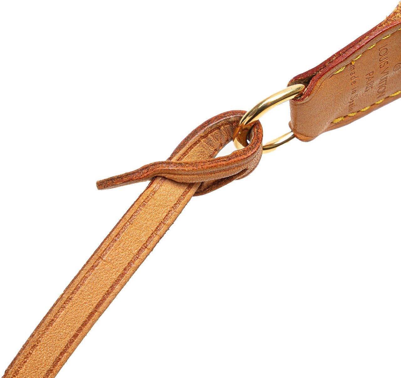 Louis Vuitton Monogram Pochette Accessoires Bruin