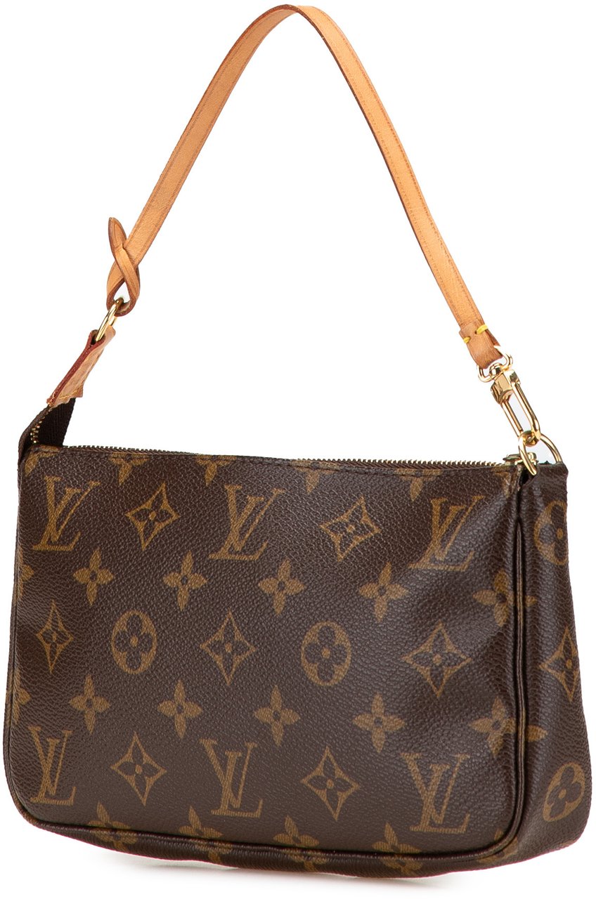 Louis Vuitton Monogram Pochette Accessoires Bruin