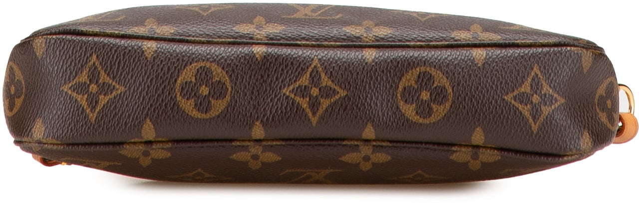 Louis Vuitton Monogram Pochette Accessoires Bruin