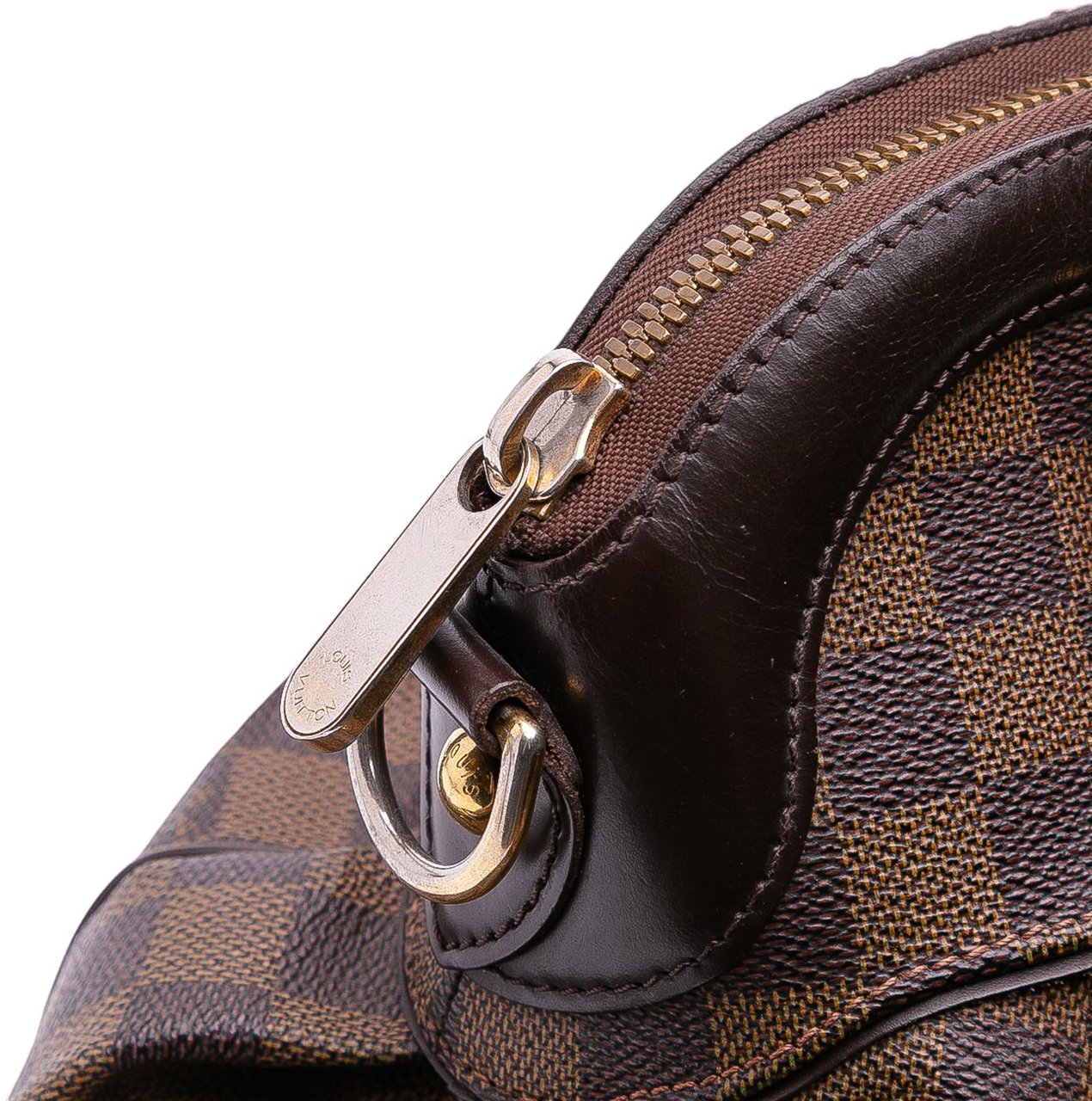 Louis Vuitton Damier Ebene Trevi PM Bruin