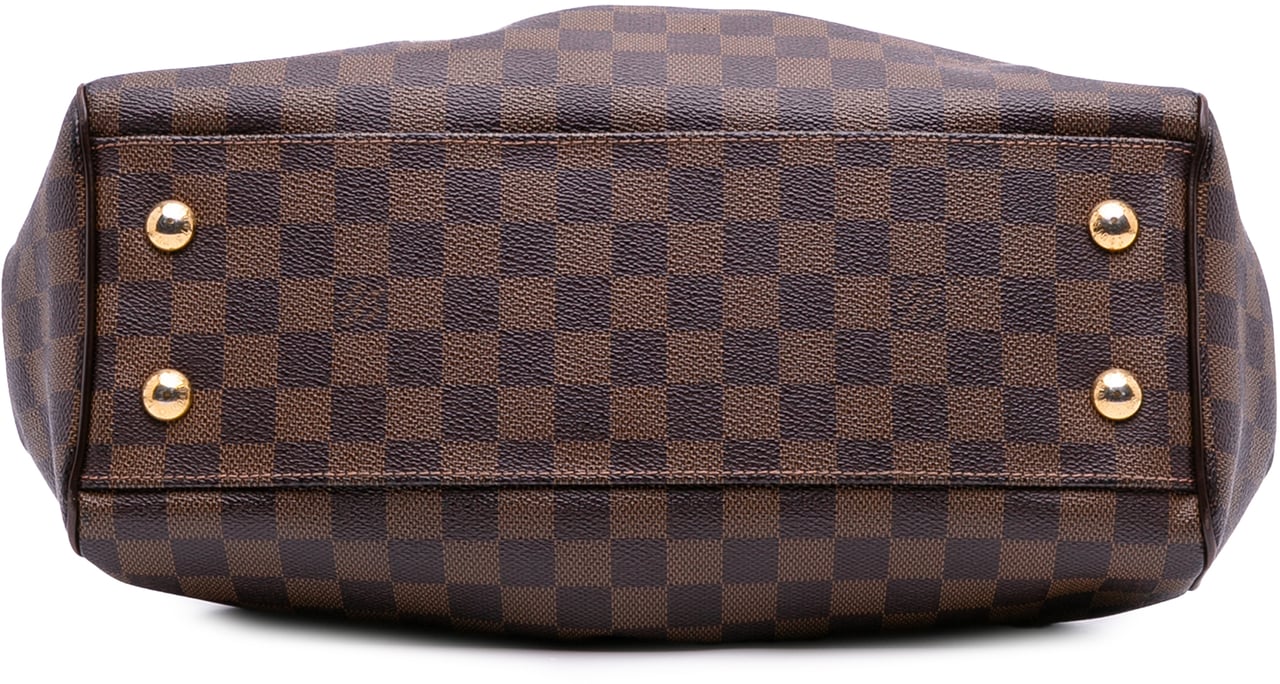 Louis Vuitton Damier Ebene Trevi PM Bruin
