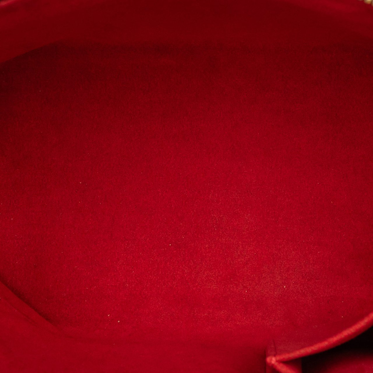 Louis Vuitton Damier Ebene Saleya PM Bruin