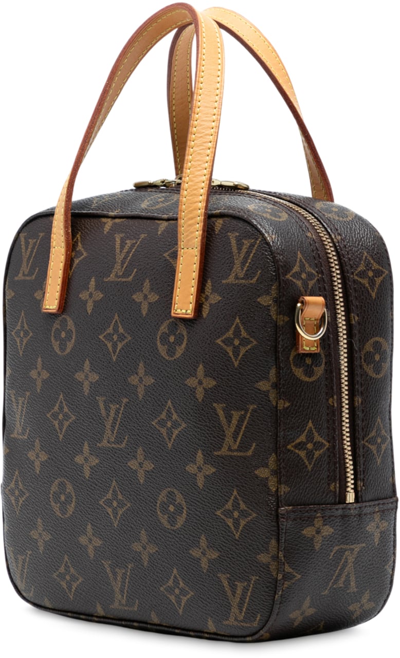 Louis Vuitton Monogram Spontini Bruin