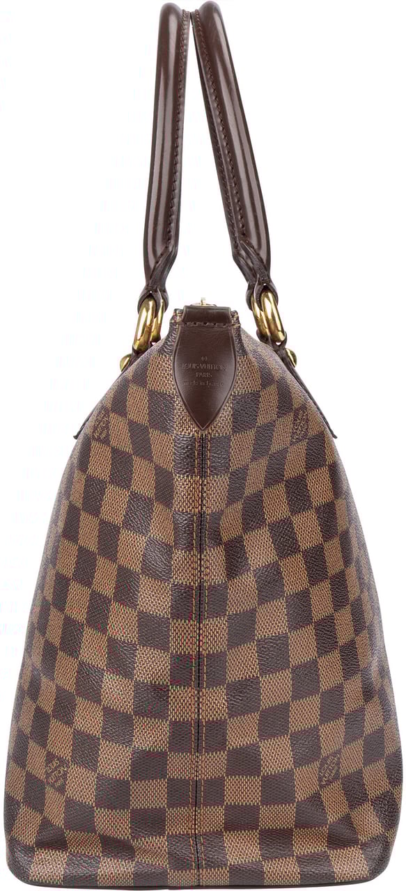 Louis Vuitton Louis Vuitton Damier Ebene Monogram Saleya MM Handbag Bruin