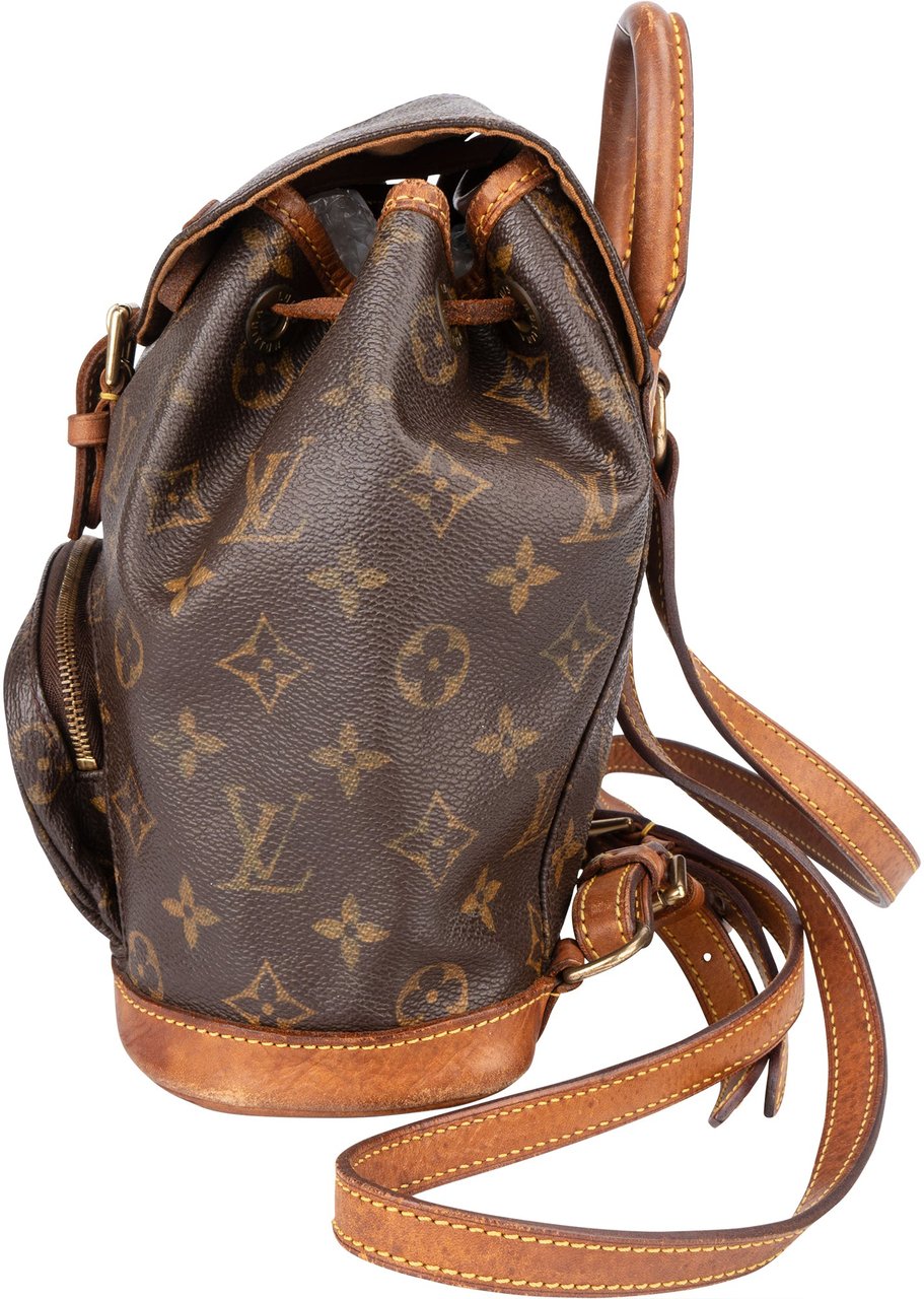 Louis Vuitton Louis Vuitton Canvas Monogram Montsouris PM Backpack Bruin