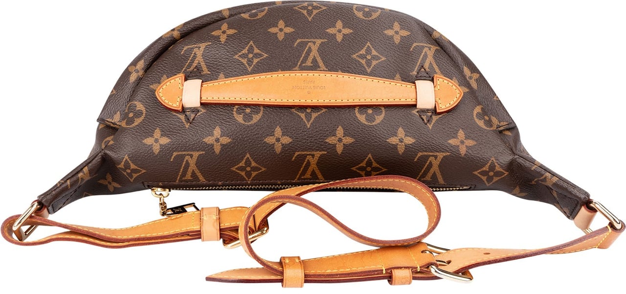Louis Vuitton Monogram Canvas Bumbag Crossbody Bag Bruin
