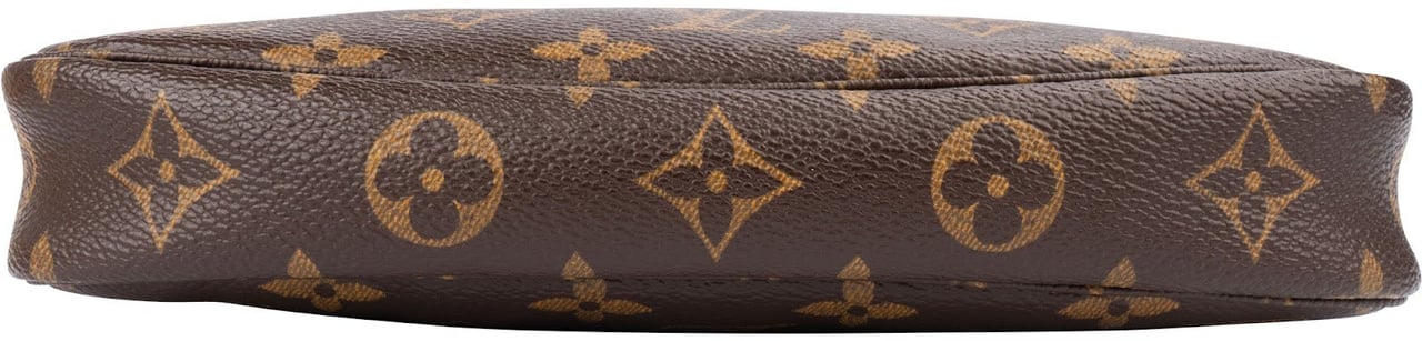 Louis Vuitton Monogram Canvas Pochette Accessoires Handbag Bruin