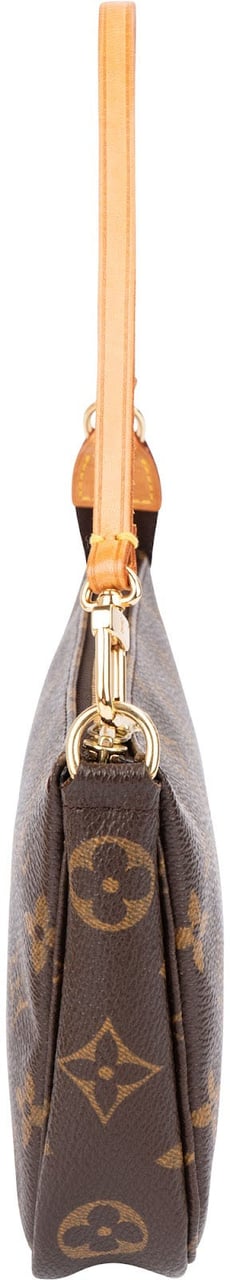 Louis Vuitton Monogram Canvas Pochette Accessoires Handbag Bruin