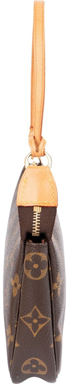 Louis Vuitton Monogram Canvas Pochette Accessoires Handbag Bruin