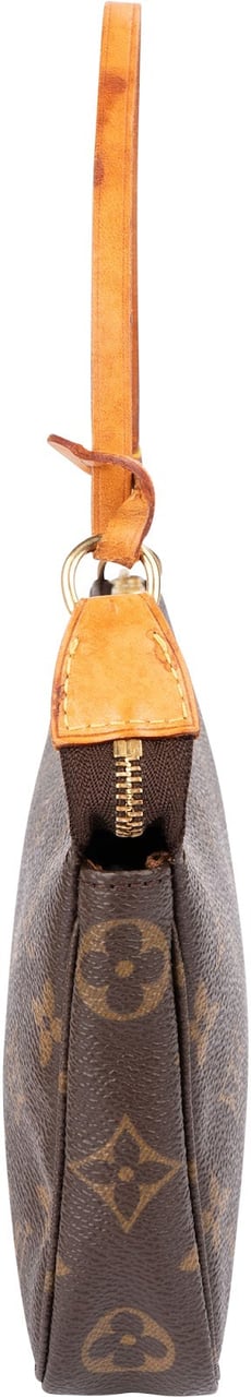 Louis Vuitton Monogram Canvas Pochette Accessoires Handbag Bruin