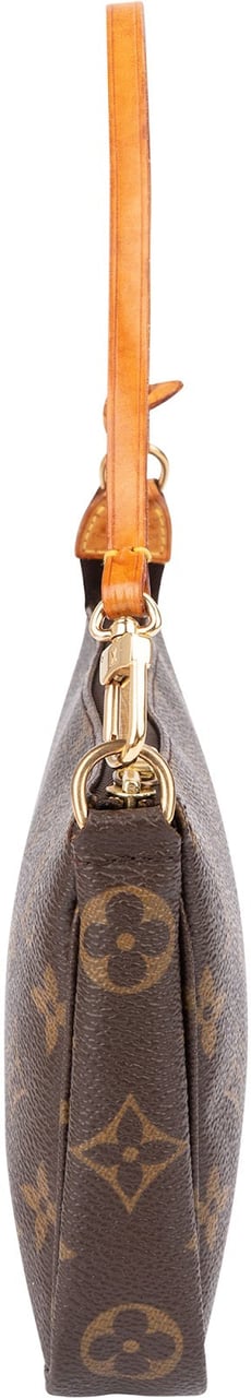 Louis Vuitton Monogram Canvas Pochette Accessoires Handbag Bruin