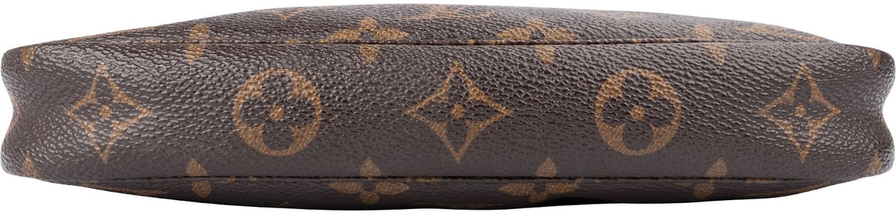 Louis Vuitton Monogram Canvas Pochette Accessoires Handbag Bruin