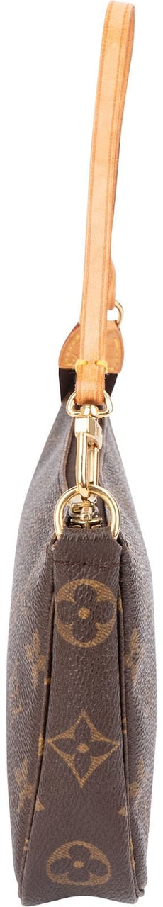 Louis Vuitton Monogram Canvas Pochette Accessoires Handbag Bruin