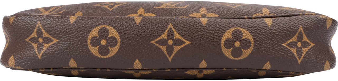 Louis Vuitton Monogram Canvas Pochette Accessoires Handbag Bruin