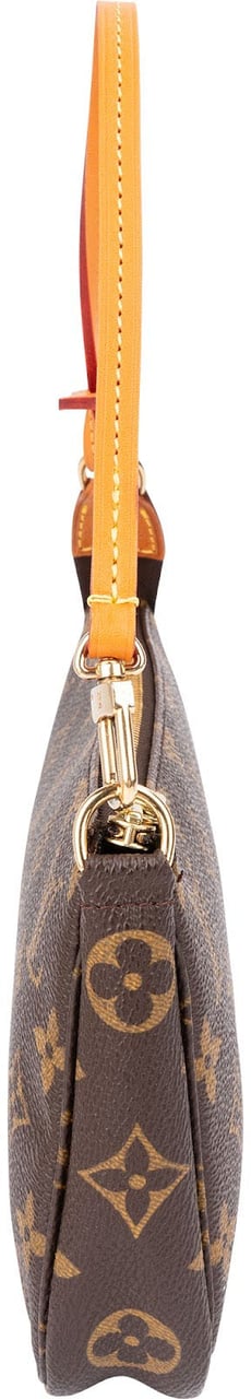 Louis Vuitton Monogram Canvas Pochette Accessoires Handbag Bruin