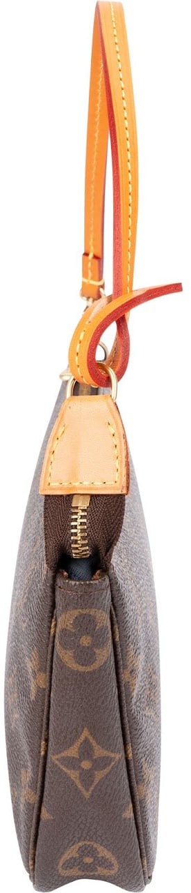 Louis Vuitton Monogram Canvas Pochette Accessoires Handbag Bruin