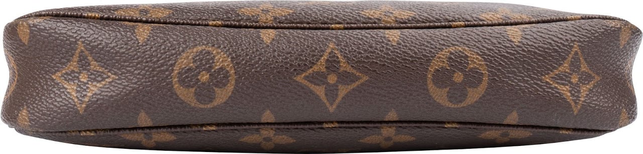 Louis Vuitton Monogram Canvas Pochette Accessoires Handbag Bruin
