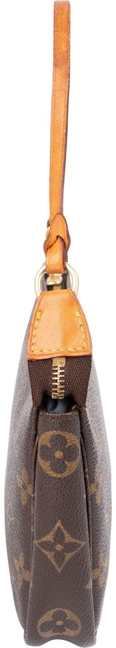 Louis Vuitton Monogram Canvas Pochette Accessoires Handbag Bruin