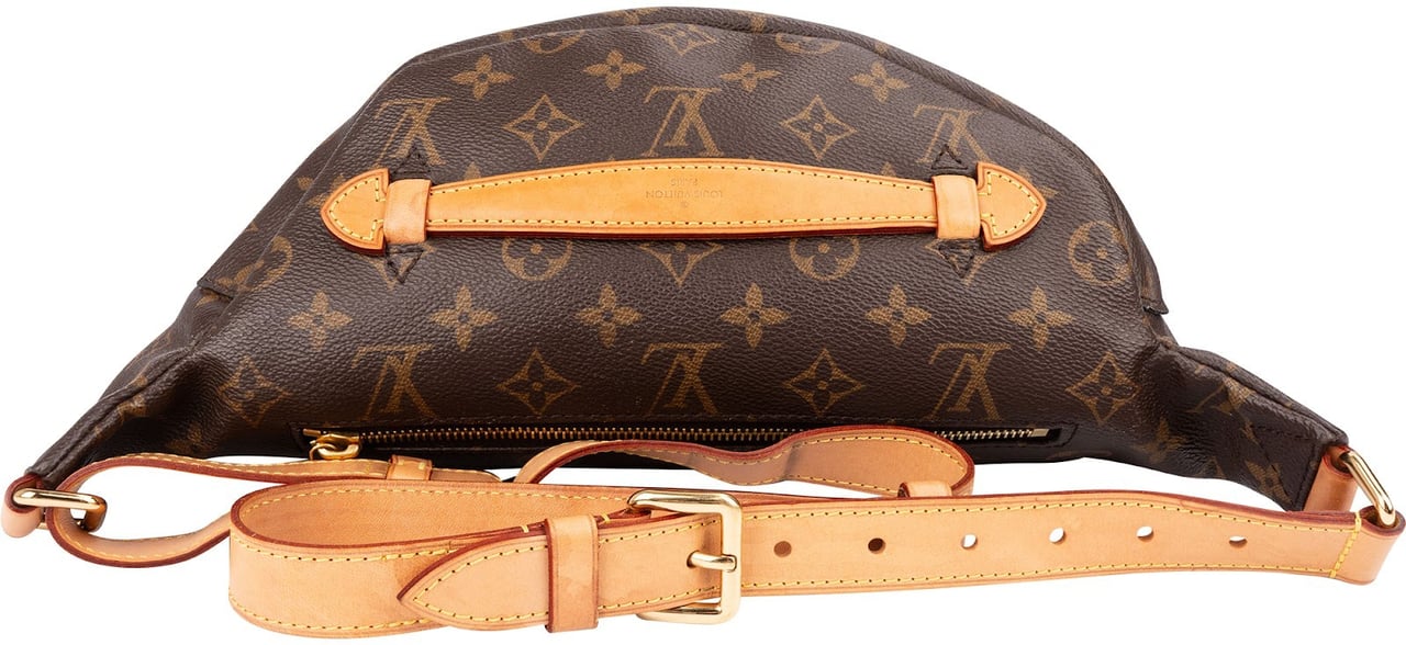 Louis Vuitton Monogram Canvas Bumbag Crossbody Bag Bruin