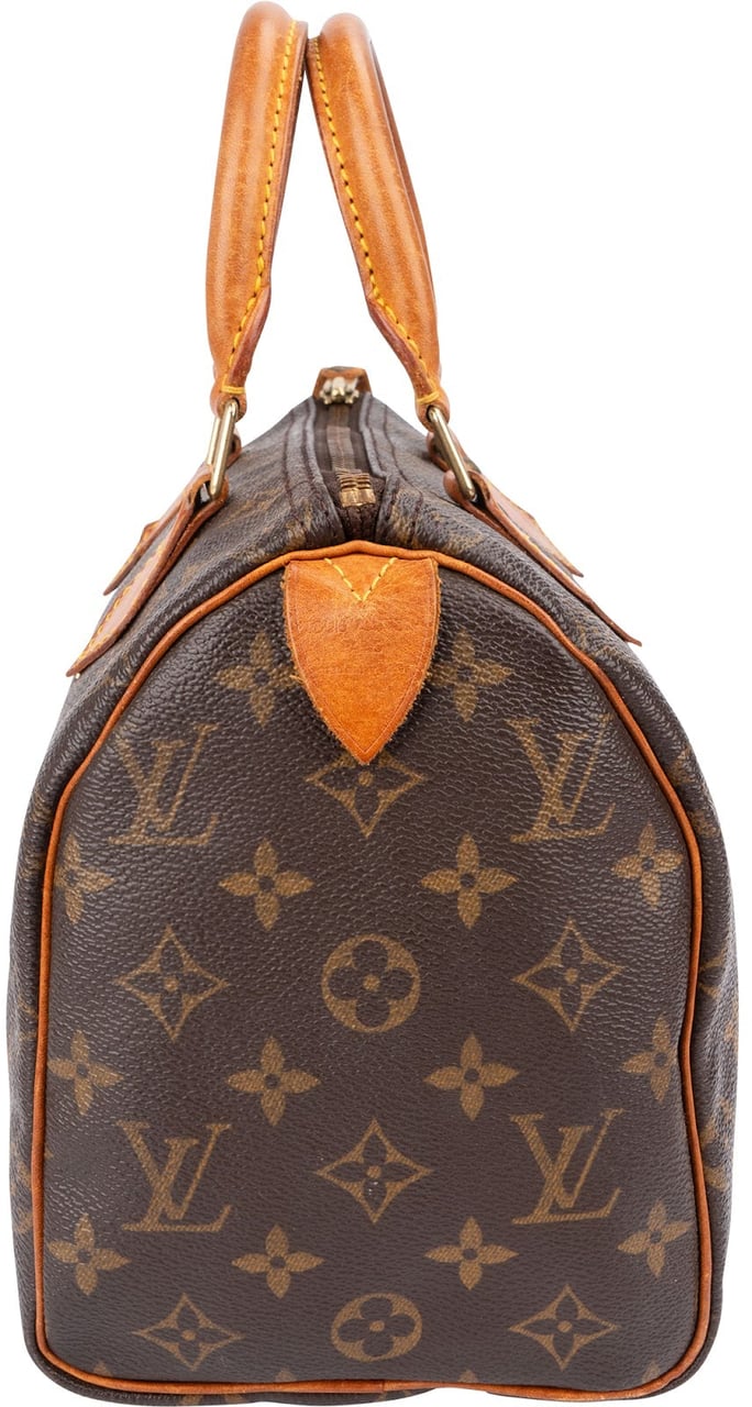Louis Vuitton Monogram Canvas Speedy 25 Handbag Bruin