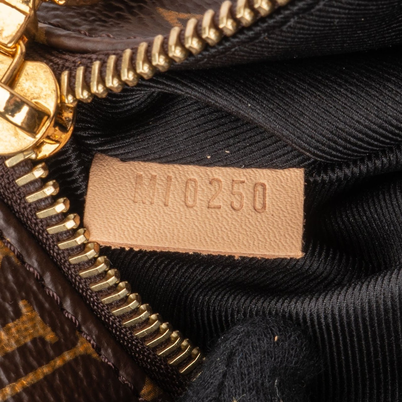 Louis Vuitton Monogram Canvas Bumbag Crossbody Bag Bruin