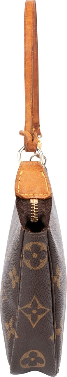 Louis Vuitton Monogram Canvas Pochette Accessoires Handbag Bruin