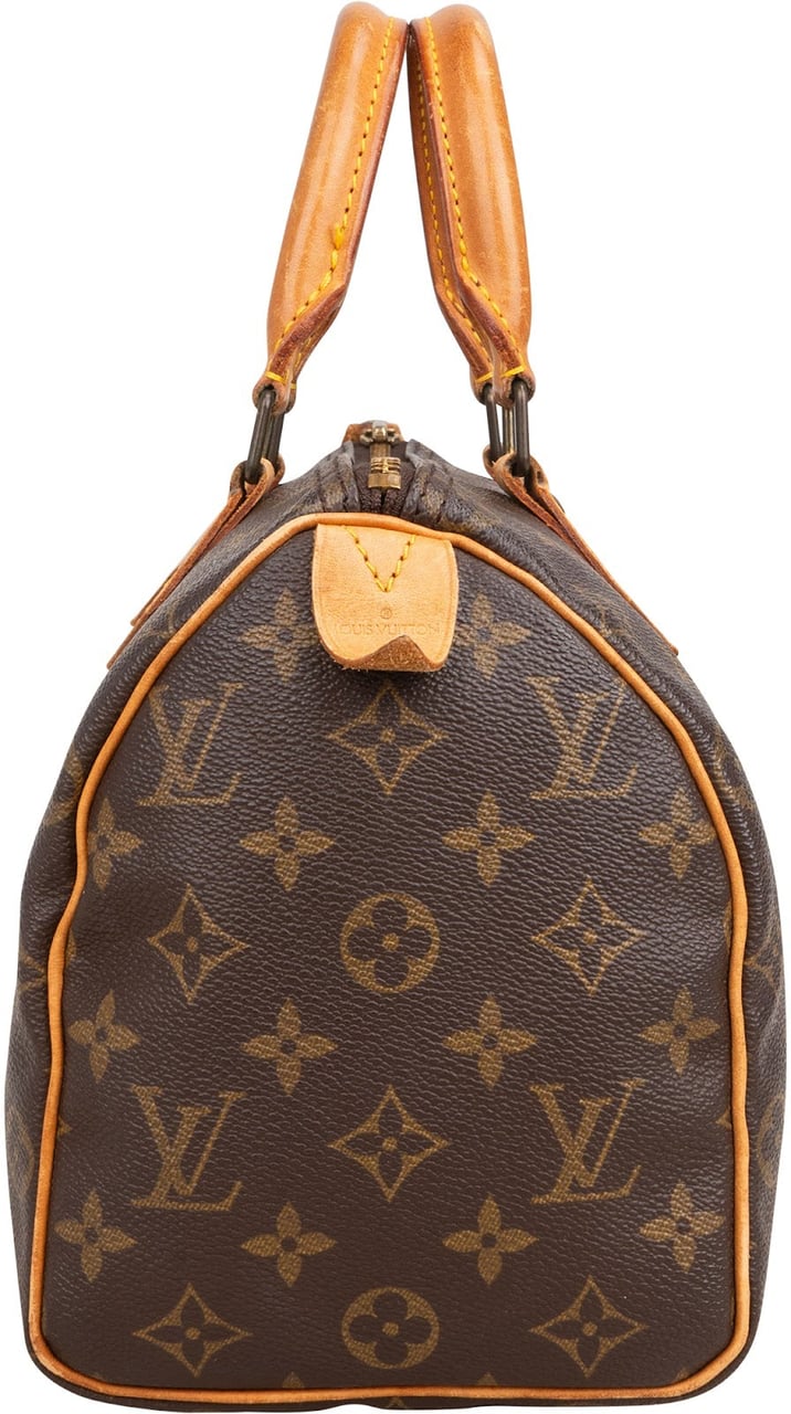 Louis Vuitton Monogram Canvas Speedy 25 Handbag Bruin