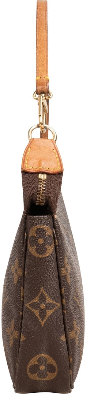 Louis Vuitton Monogram Canvas Pochette Accessoires Handbag Bruin