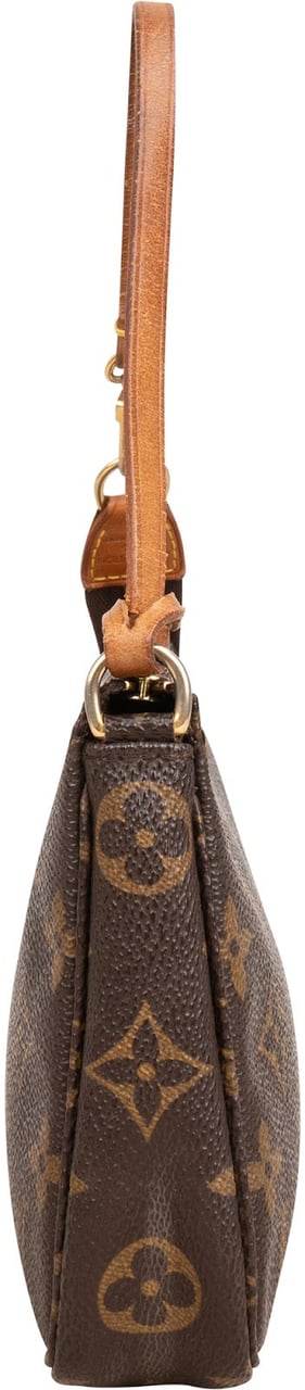 Louis Vuitton Monogram Canvas Pochette Accessoires Handbag Bruin