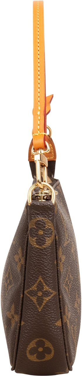 Louis Vuitton Monogram Canvas Pochette Accessoires Handbag Bruin