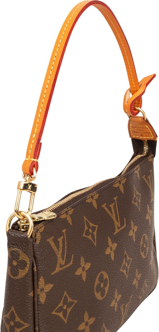 Louis Vuitton Monogram Canvas Pochette Accessoires Handbag Bruin