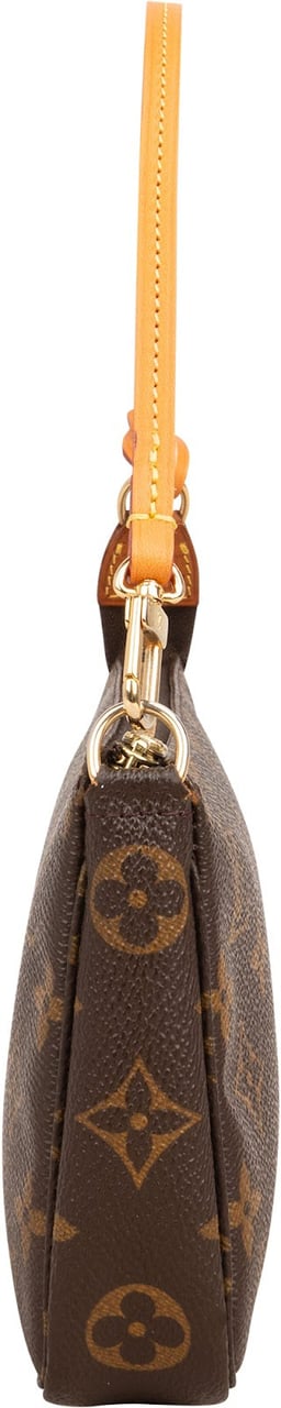 Louis Vuitton Monogram Canvas Pochette Accessoires Handbag Bruin