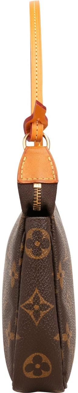 Louis Vuitton Monogram Canvas Pochette Accessoires Handbag Bruin