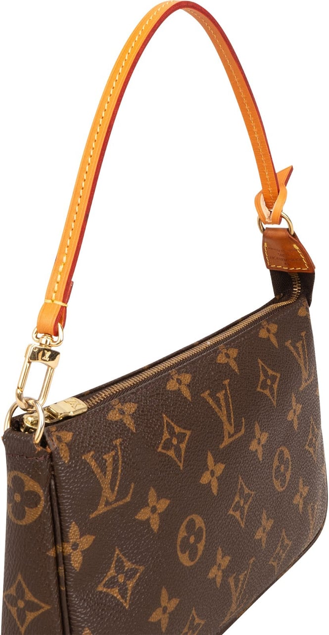 Louis Vuitton Monogram Canvas Pochette Accessoires Handbag Bruin