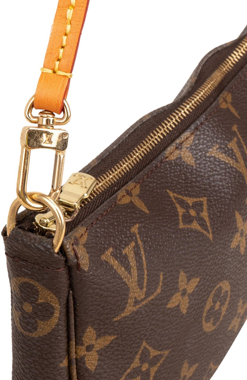 Louis Vuitton Monogram Canvas Pochette Accessoires Handbag Bruin