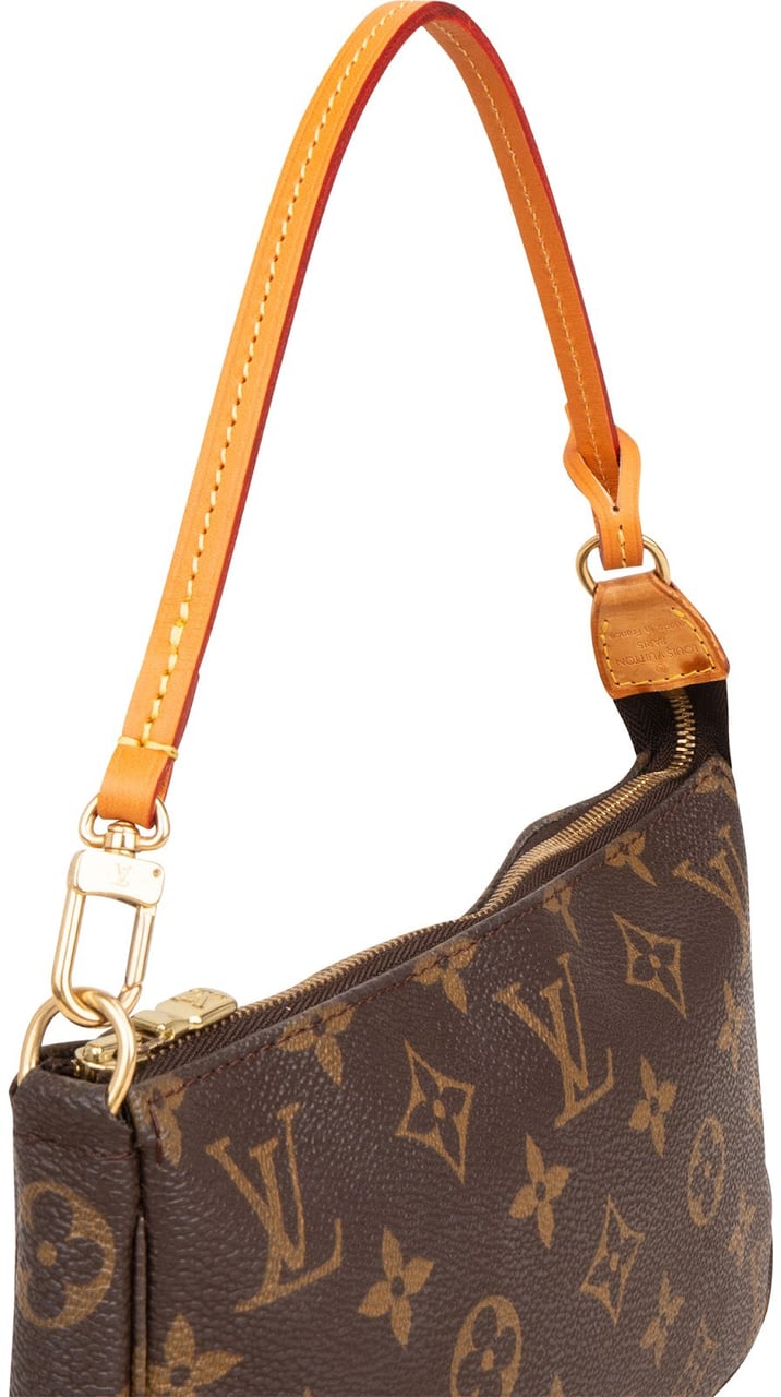 Louis Vuitton Monogram Canvas Pochette Accessoires Handbag Bruin