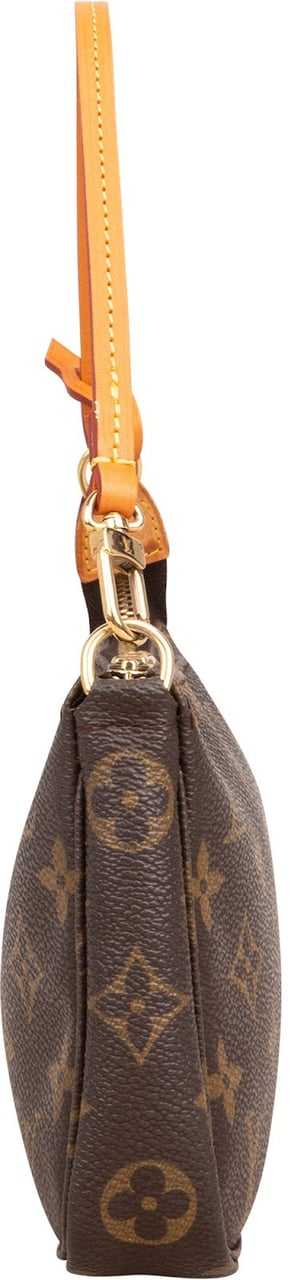 Louis Vuitton Monogram Canvas Pochette Accessoires Handbag Bruin