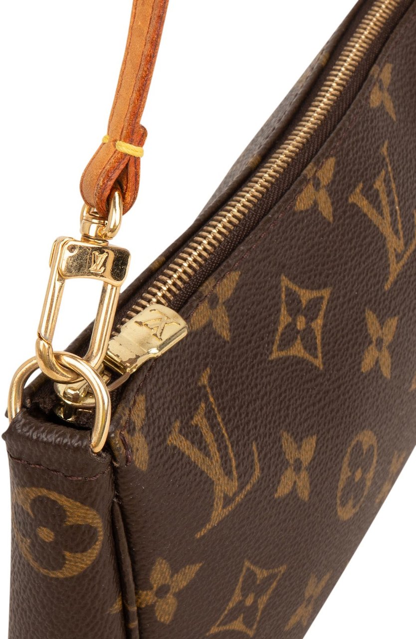 Louis Vuitton Monogram Canvas Pochette Accessoires Handbag Bruin