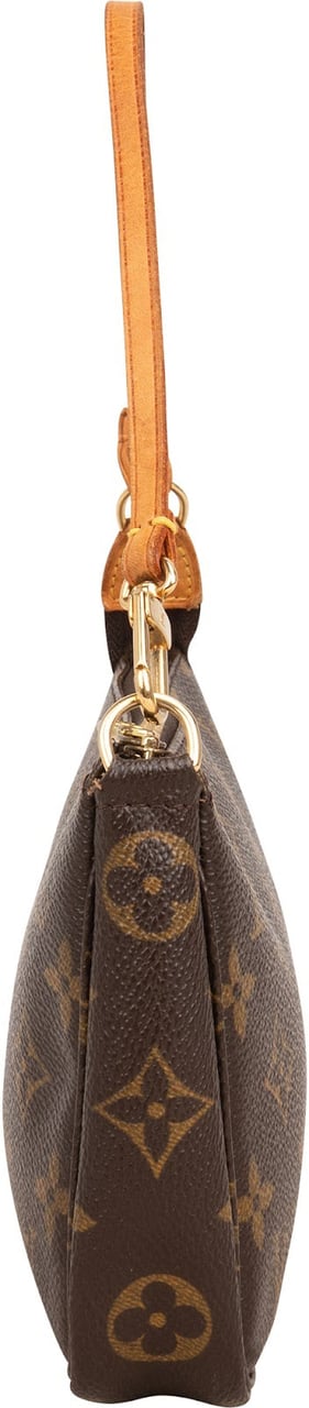 Louis Vuitton Monogram Canvas Pochette Accessoires Handbag Bruin