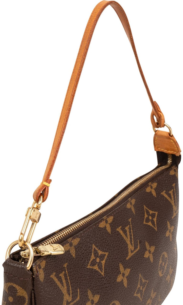Louis Vuitton Monogram Canvas Pochette Accessoires Handbag Bruin