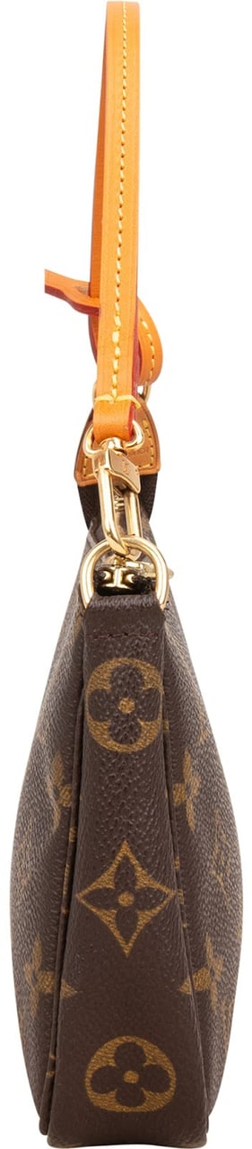 Louis Vuitton Monogram Canvas Pochette Accessoires Handbag Bruin