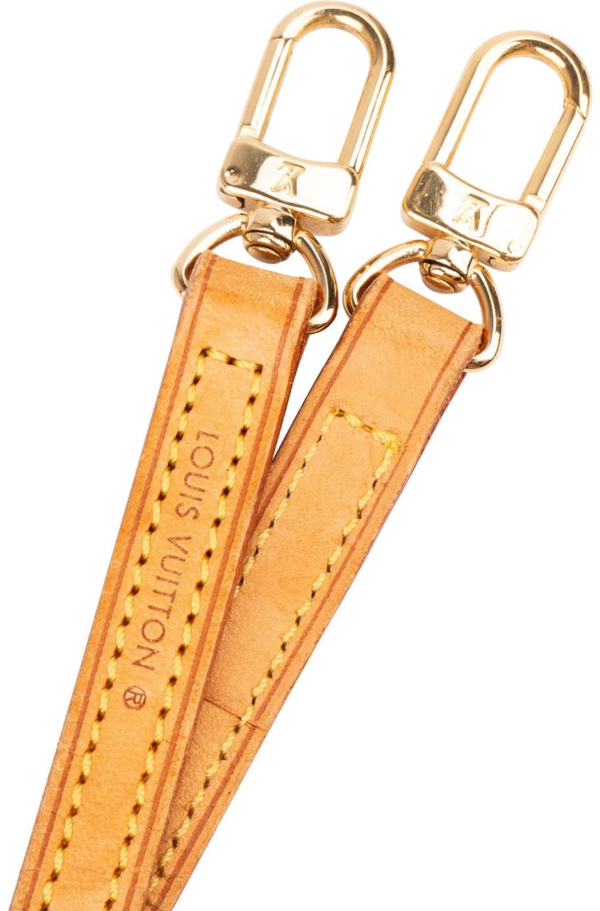 Louis Vuitton Vachetta Leather Bags Shoulder Strap Bruin