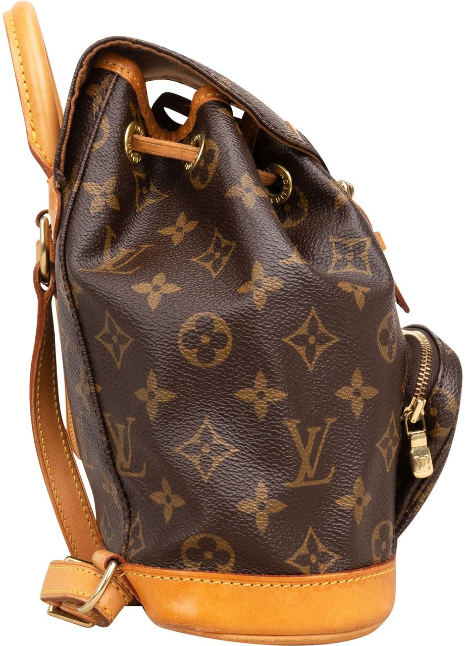 Louis Vuitton Monogram Canvas Montsouris PM Backpack Bruin