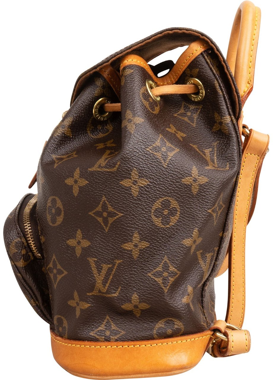 Louis Vuitton Monogram Canvas Montsouris PM Backpack Bruin